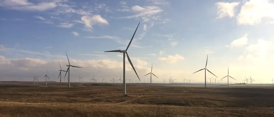 Wind turbines on open moorland under a wide sky at Whitelee Wind Farm, Scotland.